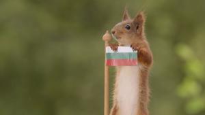 знаме катерица