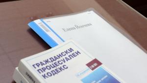 Елена Йончева дело