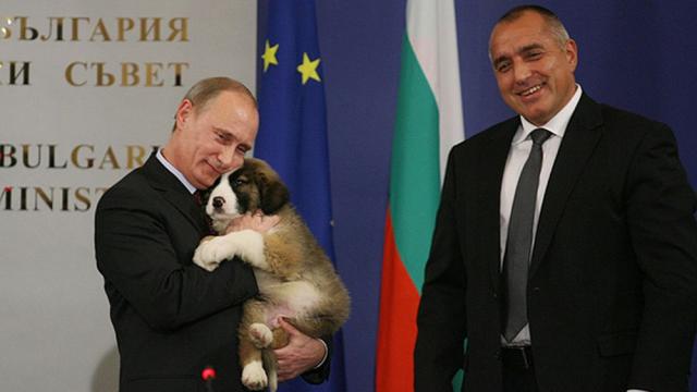 Животните, подарявани на държавни лидери: кучета, камила, петел...