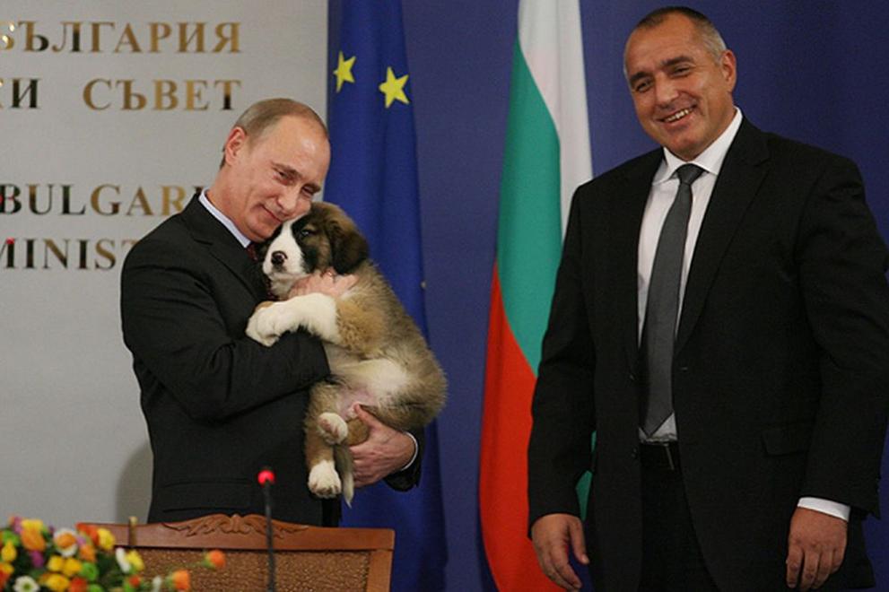 През ноември 2010 година Бойко Борисов подари куче на Владимир Путин