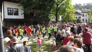 Зимно сгледно хоро