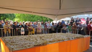 Тиквеник рекордьор