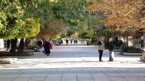 нови пазар работа