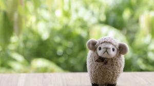 играчка агне