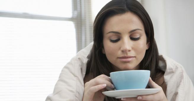 През късната есен шипките са в изобилие и можем да