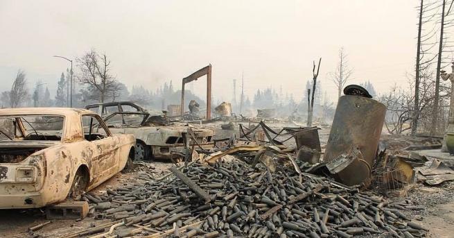 42 души са вече загиналите в пожарите бушуващи в лозарски