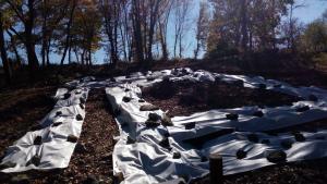 Консервация