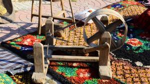 Видин празник