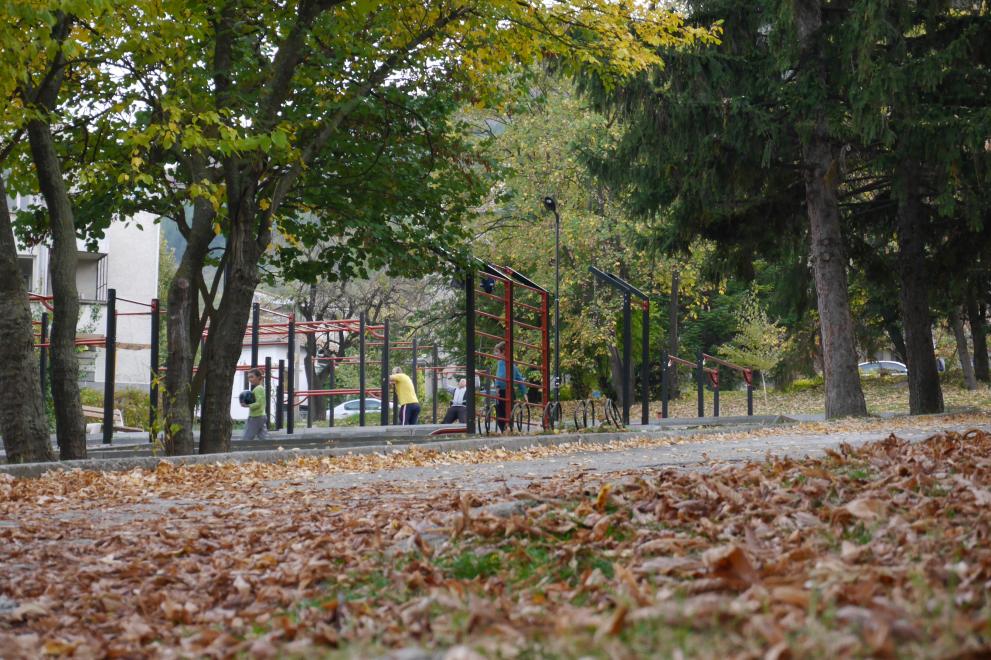 Смел ли е изборът да не заминеш?