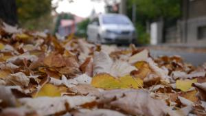 есен времето прогноза листа