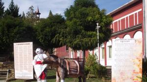 Колю Бързака