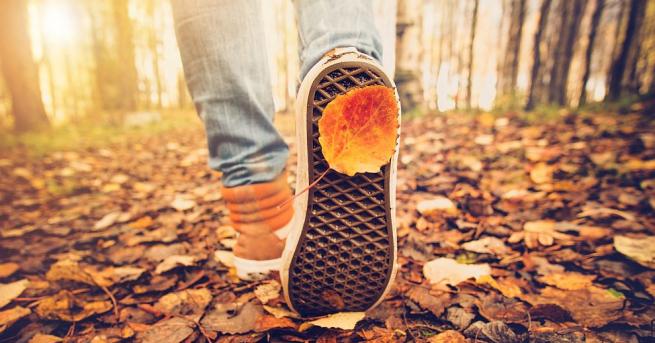 Ново изследване разкрива че дори само редовното ходене без преследване