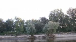 Гребна база