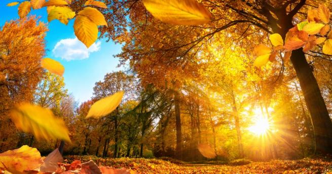 Днес ще има променлива облачност намаляваща и до предимно слънчево