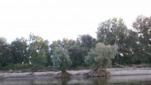 Благоевград