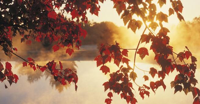 Утре събота ще вали на много места в страната сочи