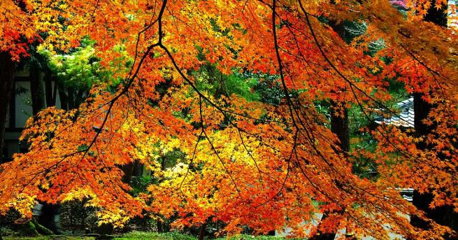 Съботният ден предполага повече излежаване повече наслада повече време за