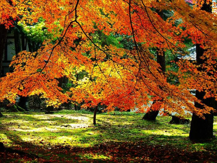 Дневен хороскоп за събота, 28.10.2017 - снимка 5