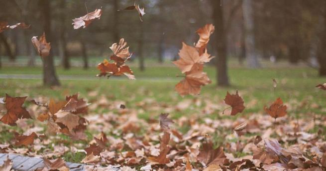 Днес ще бъде предимно слънчево но след обяд от северозапад