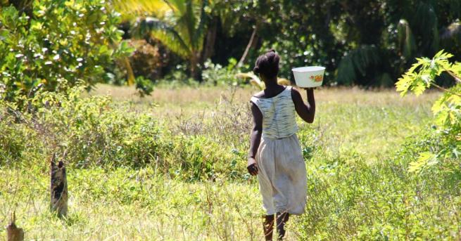 Властите на Мадагаскар призоваха гражданите да се откажат от ритуала