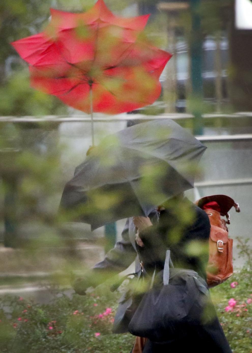  Мощна стихия в Централна Европа 