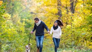 двойка куче парк есен спорт