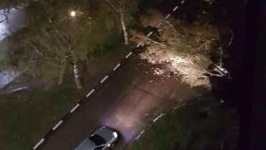 буря Мездра