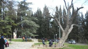 Стара Загора