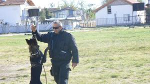 полиция ученици Видин