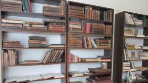 РБ Дора Габе Добрич