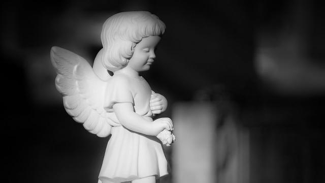 Борбата срещу смъртта е обречена