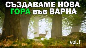 Създават нова гора във Варна