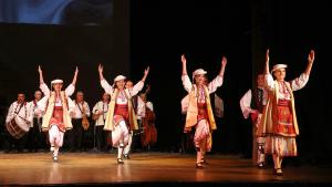 ансамбъл Дунав Видин