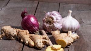 джинджифил