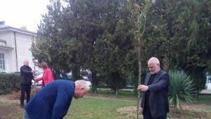 Силистра парк