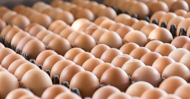 Яйцата поскъпнаха преди Коледа и Нова година Причината според производителите