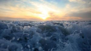 Тихия океан