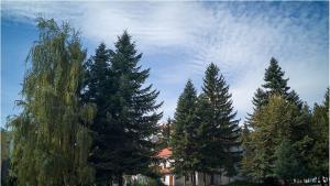 Гоце Делчев