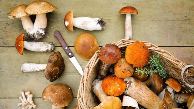 Откриха кой е един от най-мощните съюзници в борбата срещу деменцията