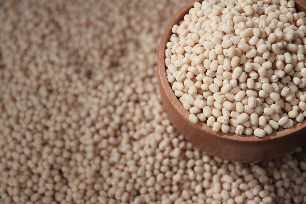  Недостиг на магнезий, Нисък разход на сила, чувство за уязвимост, отмалялост и безсилие Това са едни от най-често срещаните признаци на магнезиев недостиг. Изследване на учени сподели, че приемът на 300 до 1000 мг магнезий на ден, потиска признаците при хронична отмалялост и психическо безсилие. 