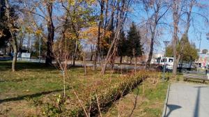 залесяване