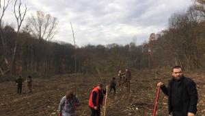 залесяване СИДП