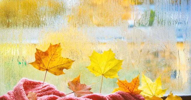 През нощта срещу понеделник и в понеделник валежите ще продължат