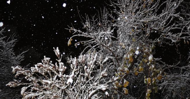 През изминалата нощ в столицата но и по високите полета