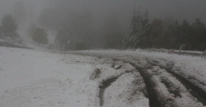 Близо 300 машини са почиствали през нощта републиканските пътища в