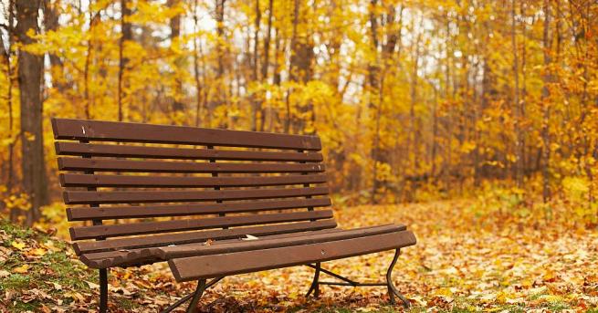 През нощта ще преобладава ясно време Минималните температури ще са