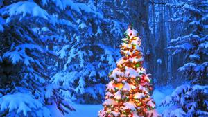 елха Коледа сняг