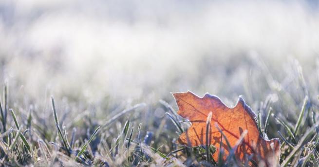 Днес облачността ще е променлива без валежи Ще духа слаб