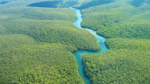 Бразилски издирвателни екипи са открили очевидно човешки останки в река