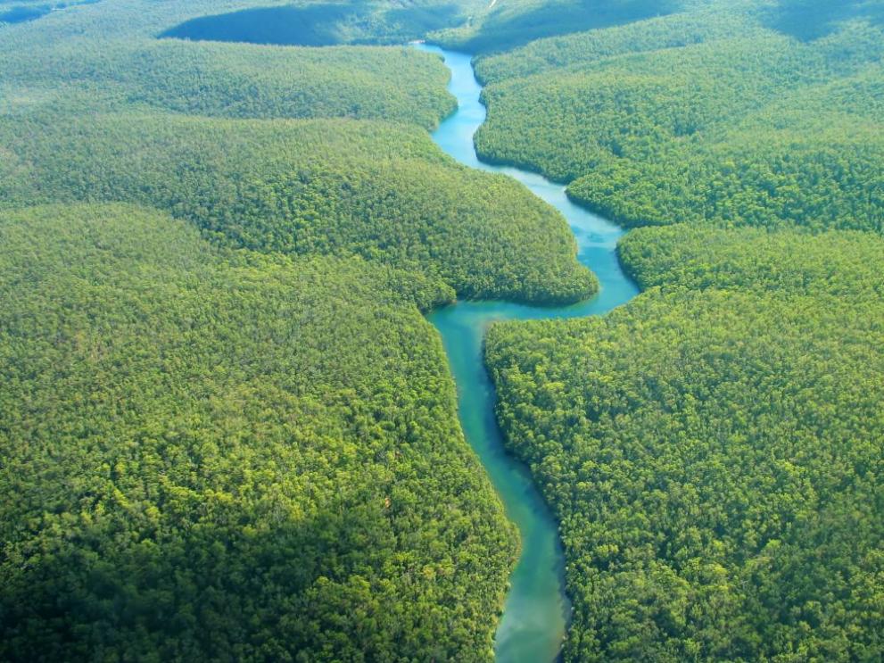Бразилски издирвателни екипи са открили очевидно човешки“ останки в река